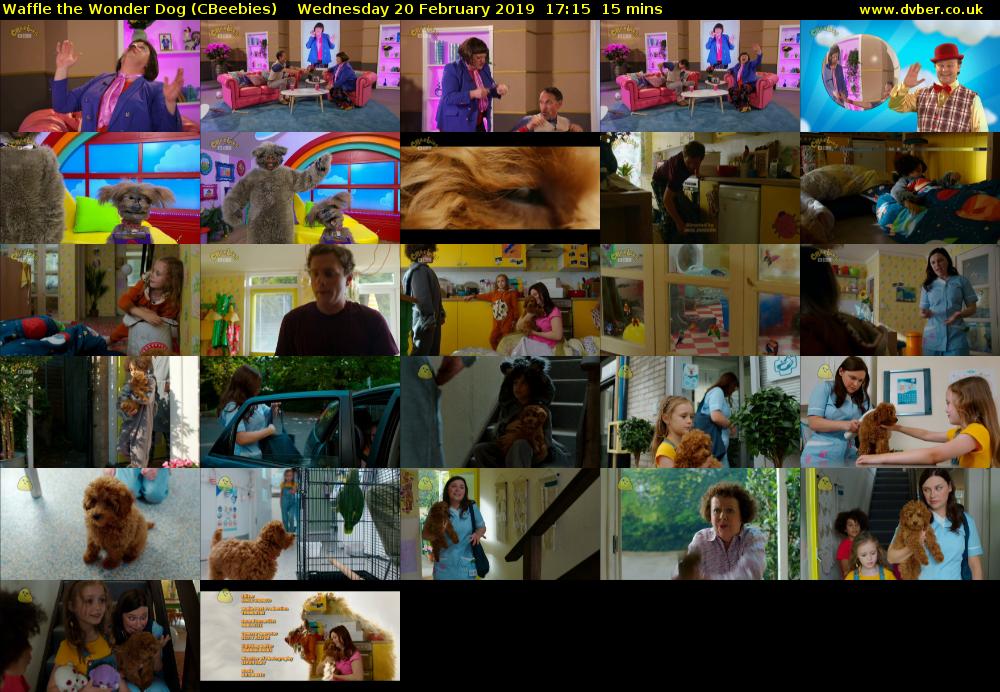 Waffle the Wonder Dog (CBeebies) - 2019-02-20-1715