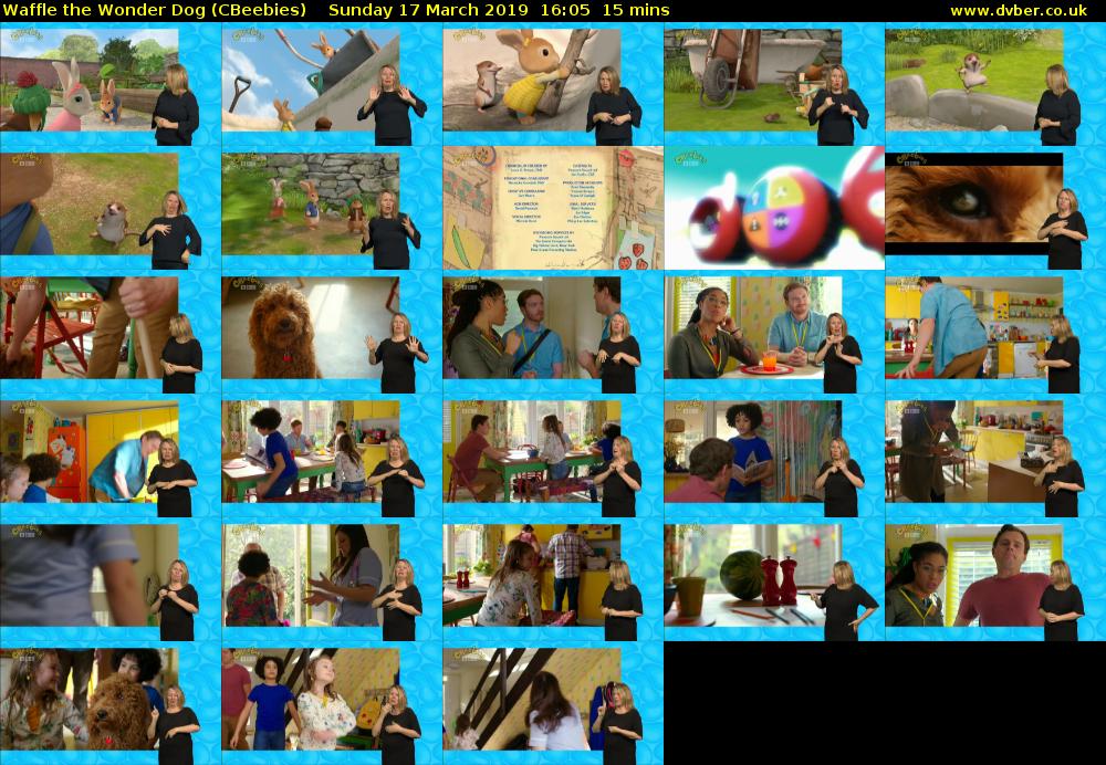 Waffle the Wonder Dog (CBeebies) Sunday 17 March 2019 16:05 - 16:20