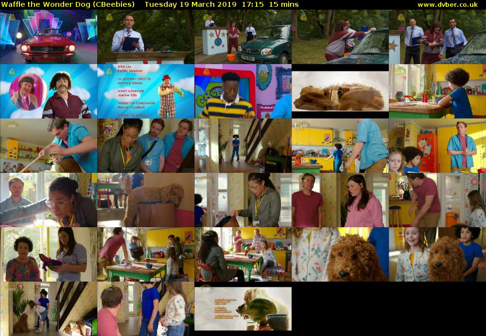 Waffle the Wonder Dog (CBeebies) Tuesday 19 March 2019 17:15 - 17:30