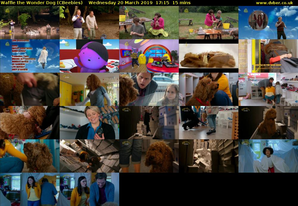 Waffle the Wonder Dog (CBeebies) Wednesday 20 March 2019 17:15 - 17:30