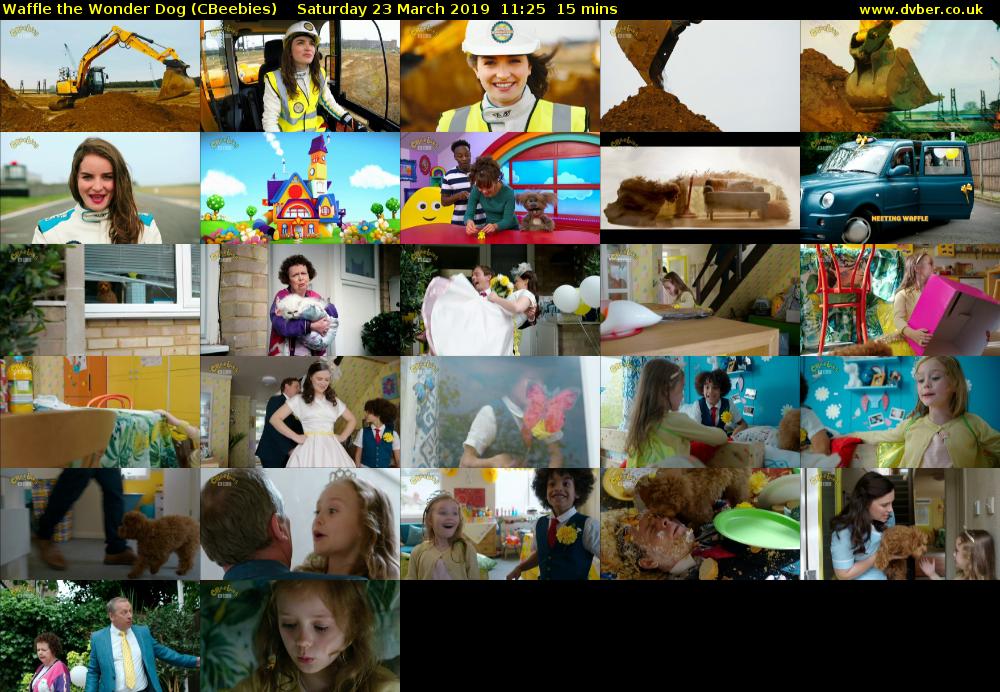 Waffle the Wonder Dog (CBeebies) - 2019-03-23-1125