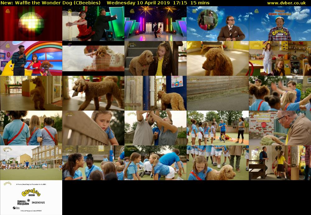 Waffle the Wonder Dog (CBeebies) - 2019-04-10-1715