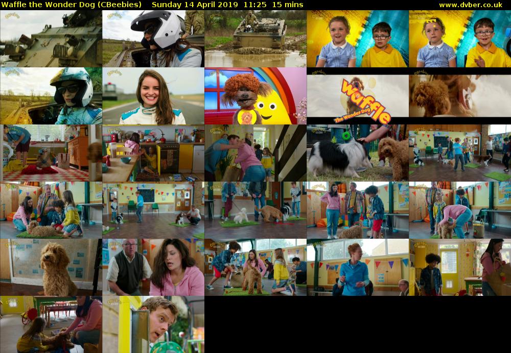 Waffle the Wonder Dog (CBeebies) Sunday 14 April 2019 11:25 - 11:40