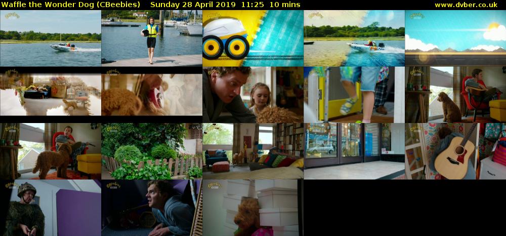 Waffle the Wonder Dog (CBeebies) Sunday 28 April 2019 11:25 - 11:35