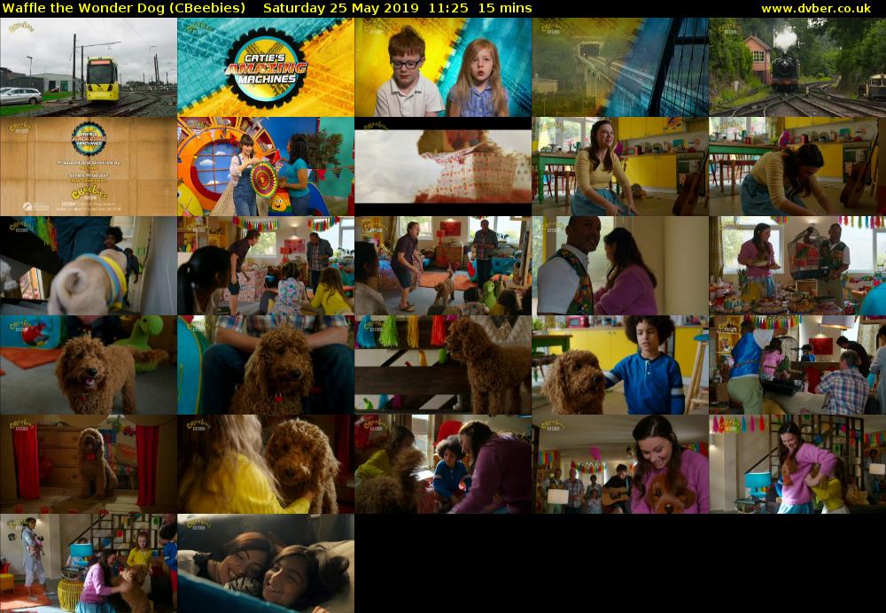 Waffle the Wonder Dog (CBeebies) Saturday 25 May 2019 11:25 - 11:40