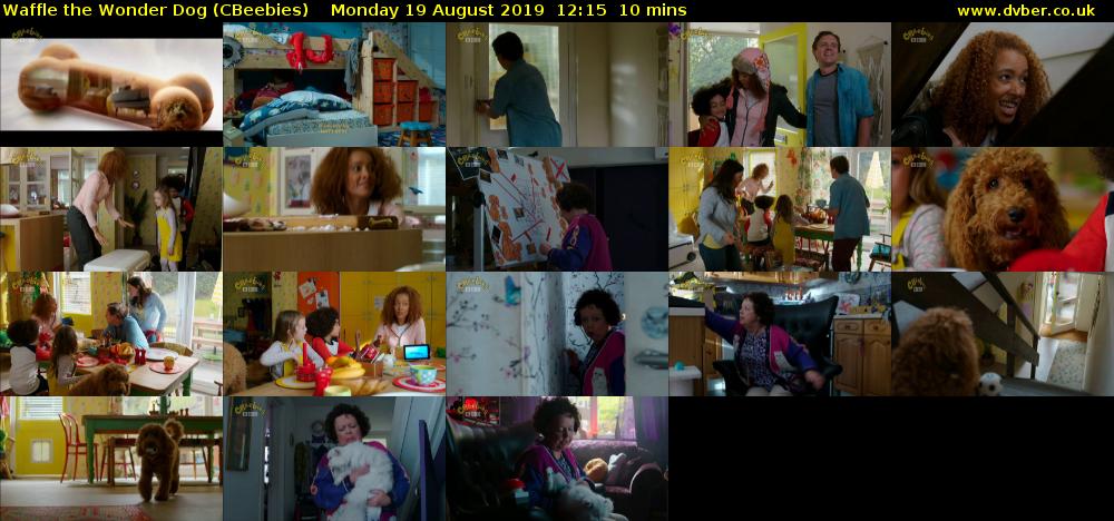 Waffle the Wonder Dog (CBeebies) Monday 19 August 2019 12:15 - 12:25