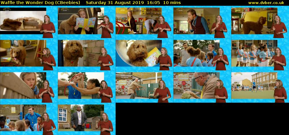 Waffle the Wonder Dog (CBeebies) Saturday 31 August 2019 16:05 - 16:15