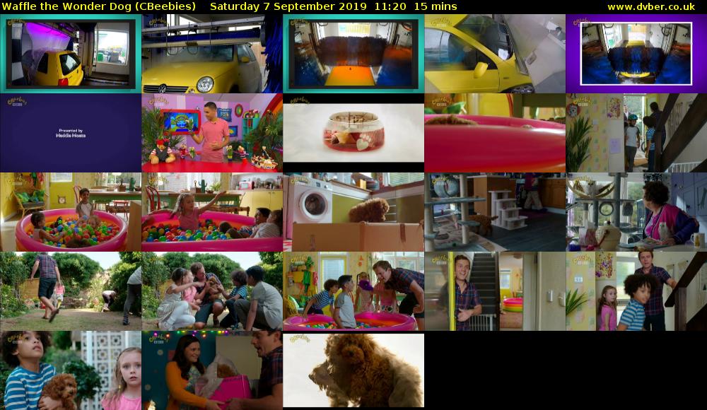Waffle the Wonder Dog (CBeebies) Saturday 7 September 2019 11:20 - 11:35