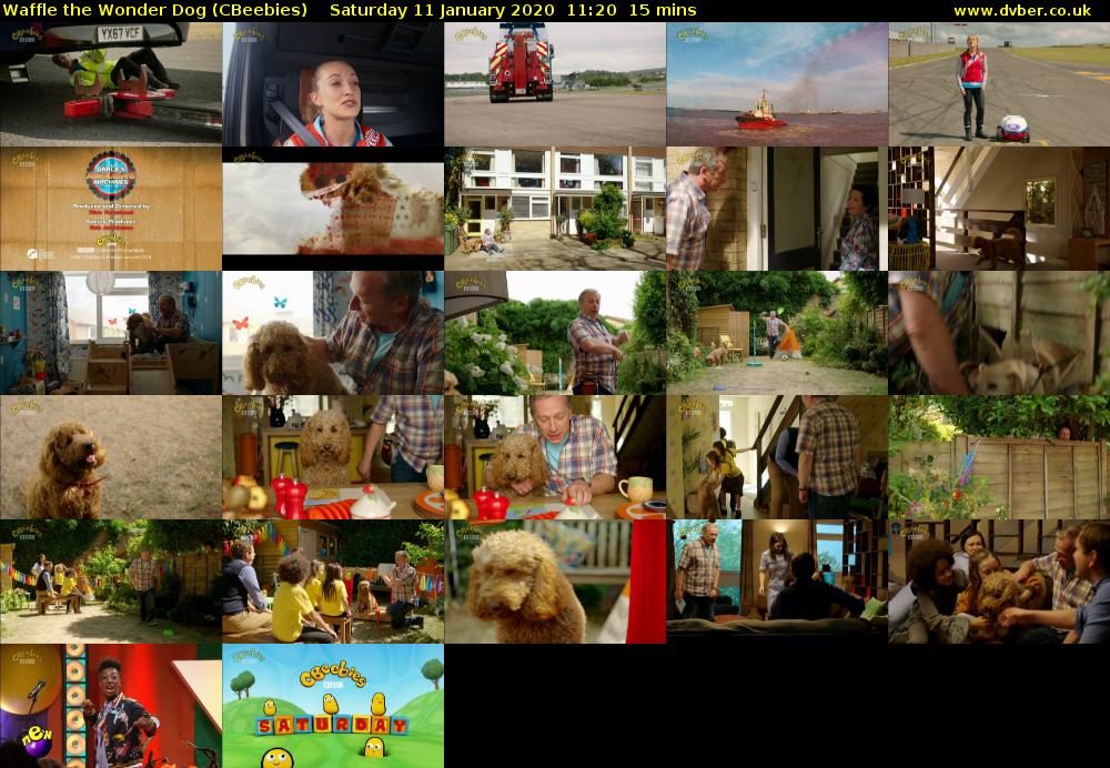 Waffle the Wonder Dog (CBeebies) Saturday 11 January 2020 11:20 - 11:35