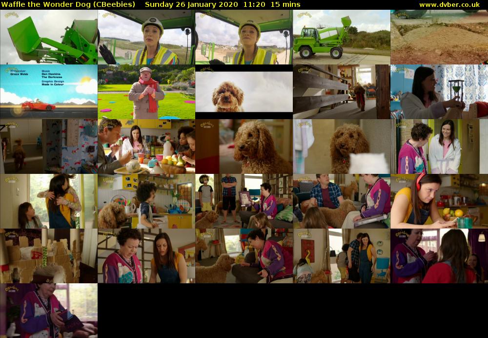 Waffle the Wonder Dog (CBeebies) Sunday 26 January 2020 11:20 - 11:35