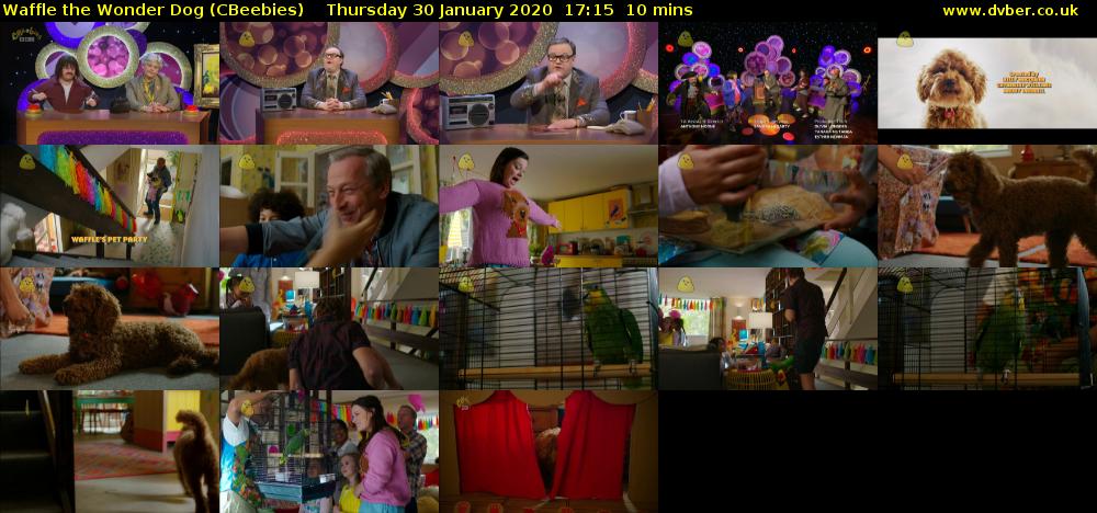 Waffle the Wonder Dog (CBeebies) Thursday 30 January 2020 17:15 - 17:25