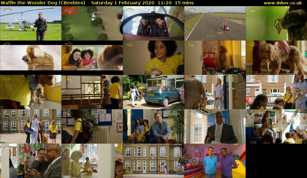 Waffle the Wonder Dog (CBeebies) Saturday 1 February 2020 11:20 - 11:35