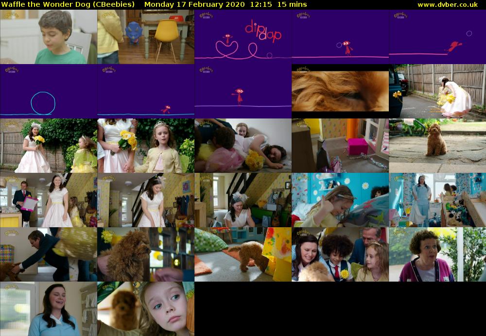 Waffle the Wonder Dog (CBeebies) Monday 17 February 2020 12:15 - 12:30