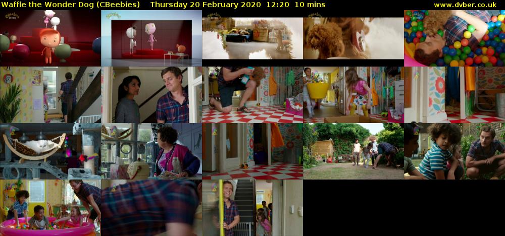Waffle the Wonder Dog (CBeebies) Thursday 20 February 2020 12:20 - 12:30