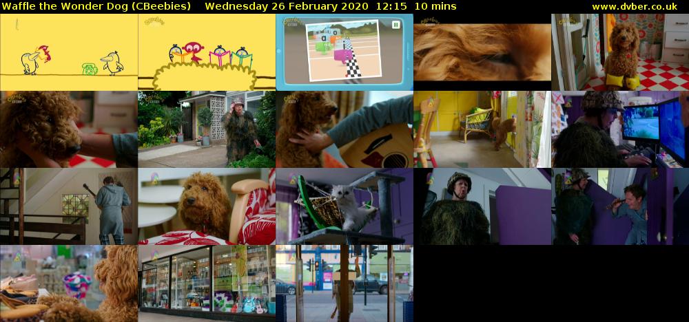 Waffle the Wonder Dog (CBeebies) Wednesday 26 February 2020 12:15 - 12:25