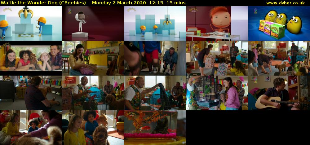 Waffle the Wonder Dog (CBeebies) Monday 2 March 2020 12:15 - 12:30