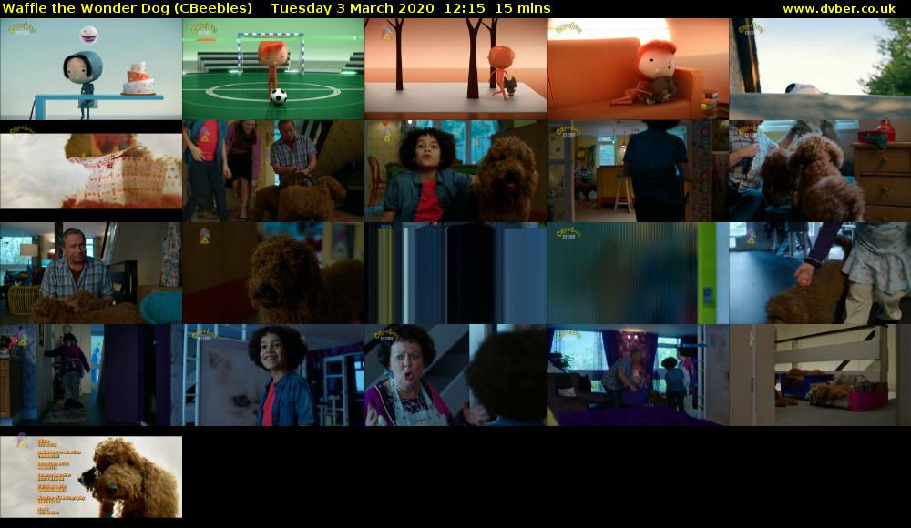 Waffle the Wonder Dog (CBeebies) Tuesday 3 March 2020 12:15 - 12:30