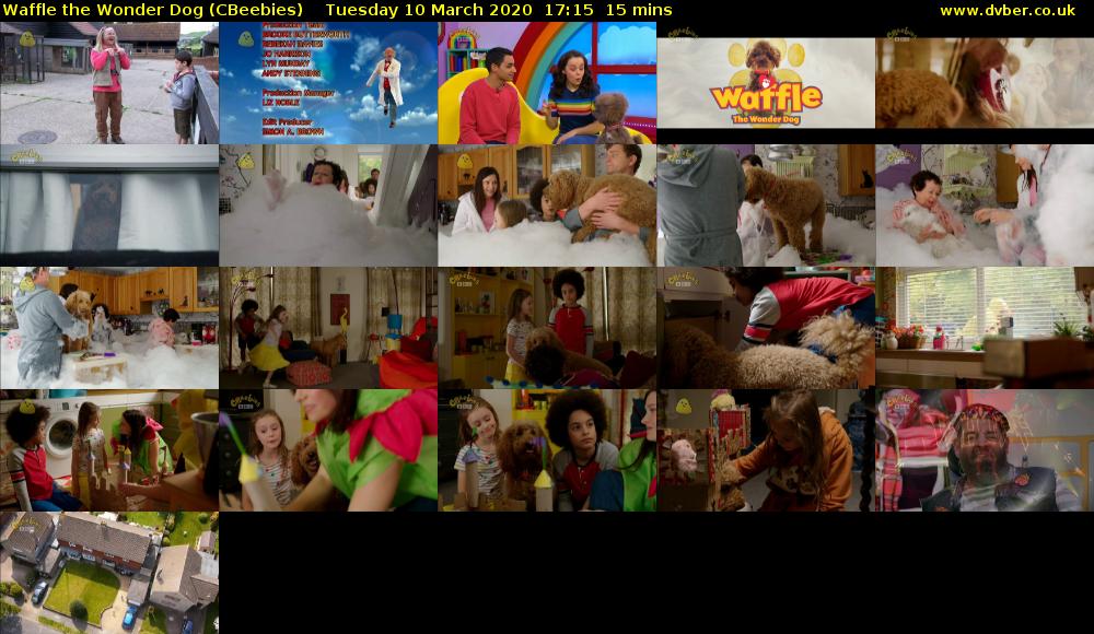 Waffle the Wonder Dog (CBeebies) Tuesday 10 March 2020 17:15 - 17:30