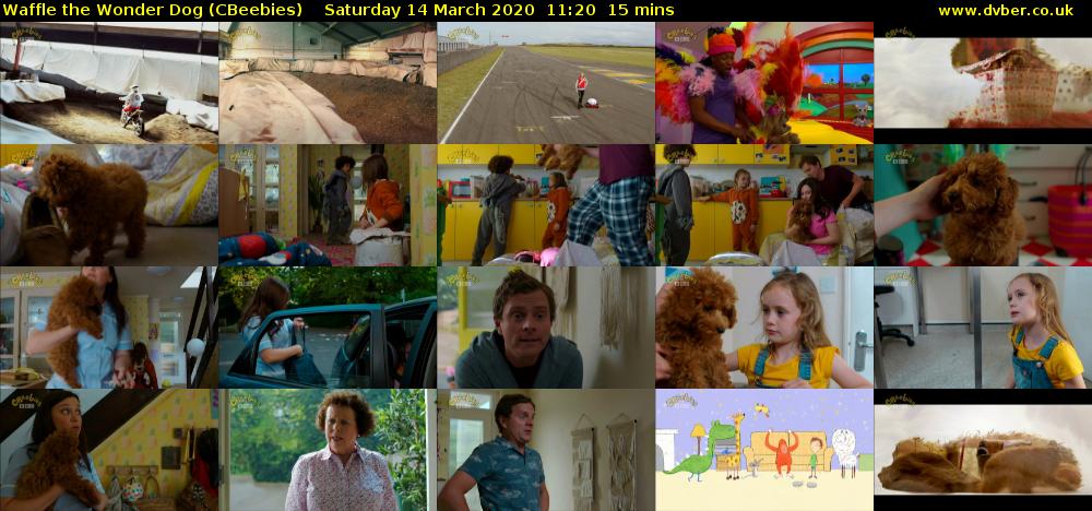 Waffle the Wonder Dog (CBeebies) Saturday 14 March 2020 11:20 - 11:35