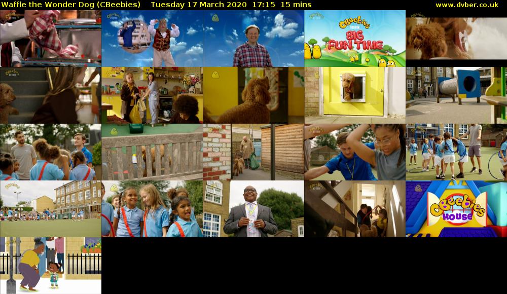 Waffle the Wonder Dog (CBeebies) - 2020-03-17-1715