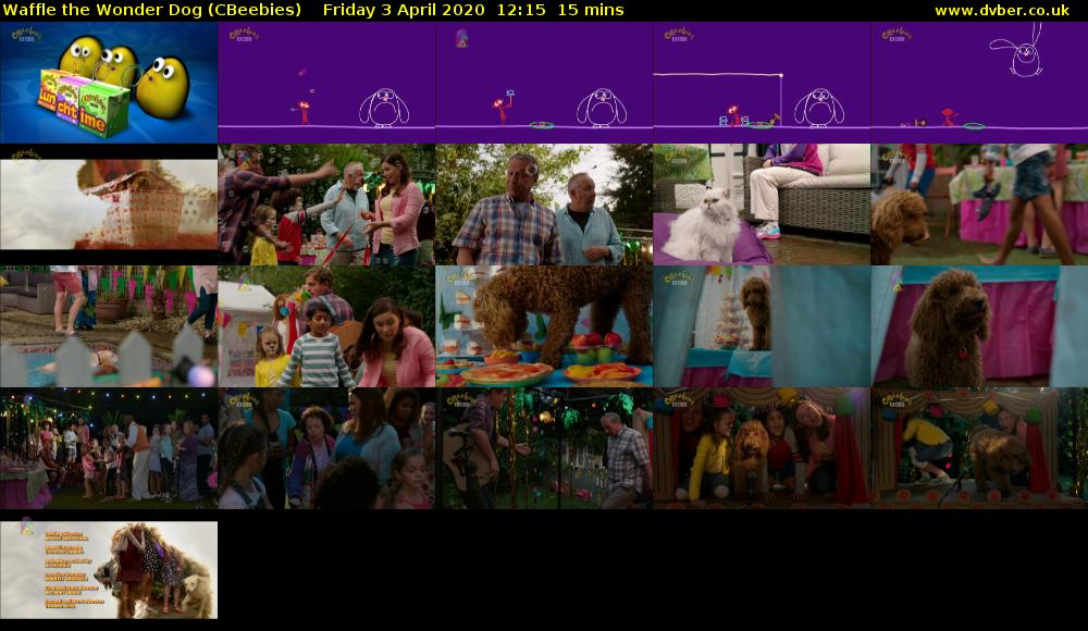 Waffle the Wonder Dog (CBeebies) Friday 3 April 2020 12:15 - 12:30