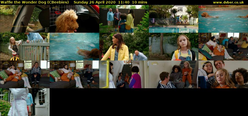 Waffle the Wonder Dog (CBeebies) Sunday 26 April 2020 11:40 - 11:50