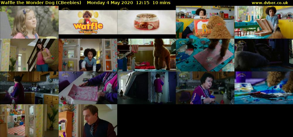 Waffle the Wonder Dog (CBeebies) Monday 4 May 2020 12:15 - 12:25