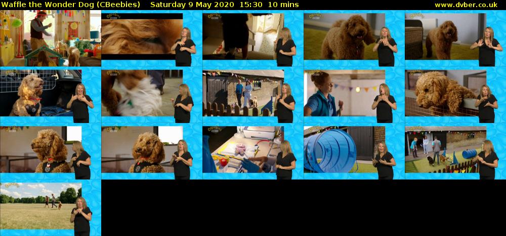 Waffle the Wonder Dog (CBeebies) Saturday 9 May 2020 15:30 - 15:40