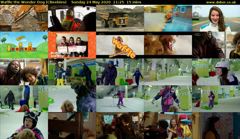 Waffle the Wonder Dog (CBeebies) Sunday 24 May 2020 11:25 - 11:40