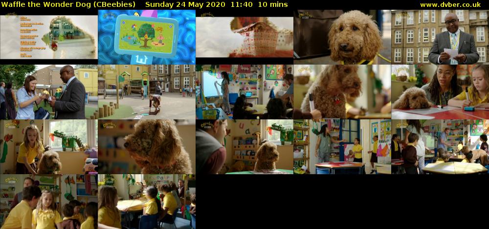 Waffle the Wonder Dog (CBeebies) Sunday 24 May 2020 11:40 - 11:50