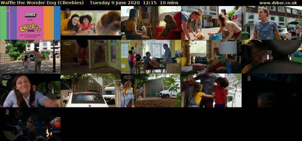 Waffle the Wonder Dog (CBeebies) Tuesday 9 June 2020 12:15 - 12:25