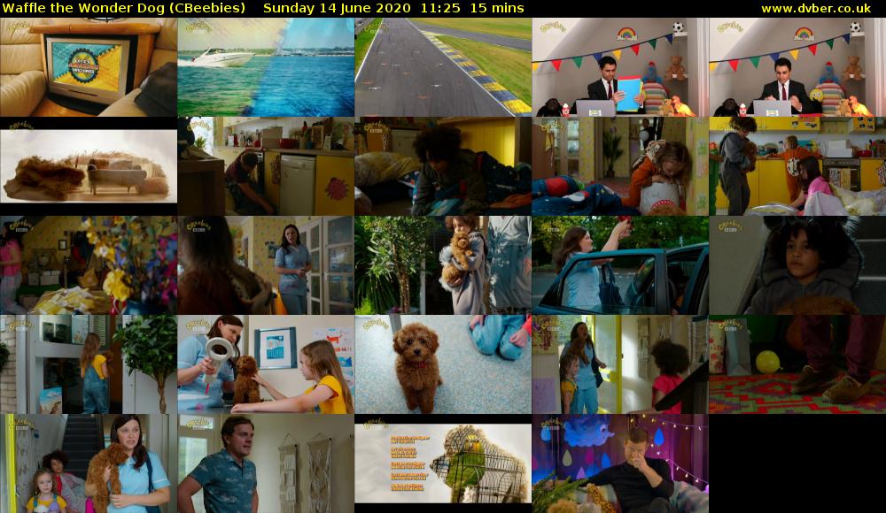 Waffle the Wonder Dog (CBeebies) Sunday 14 June 2020 11:25 - 11:40