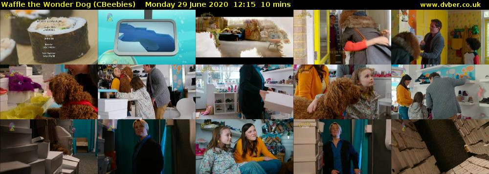 Waffle the Wonder Dog (CBeebies) Monday 29 June 2020 12:15 - 12:25