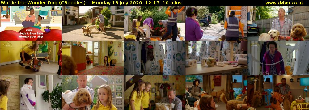 Waffle the Wonder Dog (CBeebies) Monday 13 July 2020 12:15 - 12:25