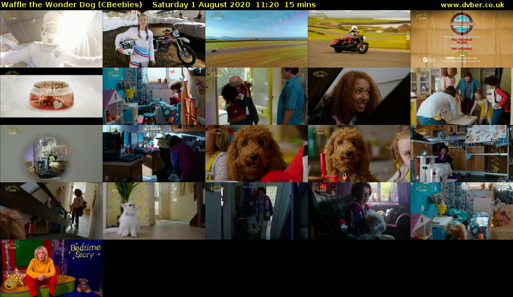 Waffle the Wonder Dog (CBeebies) - 2020-08-01-1120