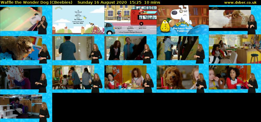 Waffle the Wonder Dog (CBeebies) - 2020-08-16-1525