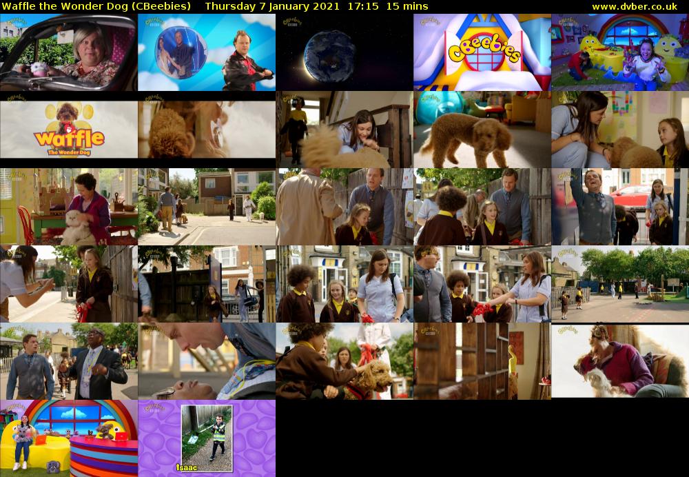 Waffle the Wonder Dog (CBeebies) Thursday 7 January 2021 17:15 - 17:30