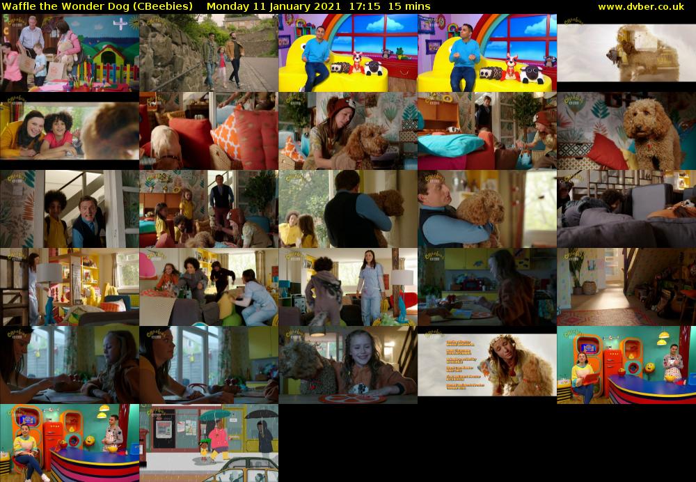 Waffle the Wonder Dog (CBeebies) Monday 11 January 2021 17:15 - 17:30