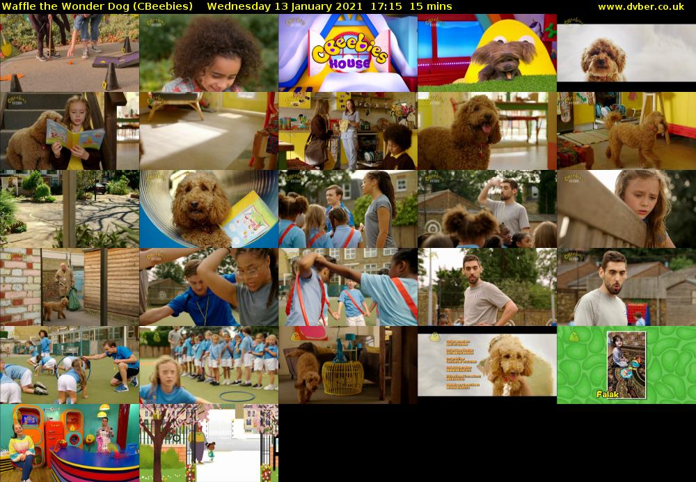 Waffle the Wonder Dog (CBeebies) Wednesday 13 January 2021 17:15 - 17:30