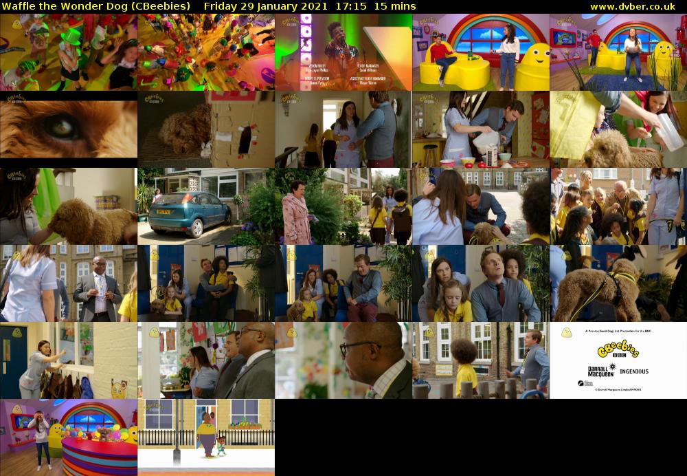Waffle the Wonder Dog (CBeebies) Friday 29 January 2021 17:15 - 17:30
