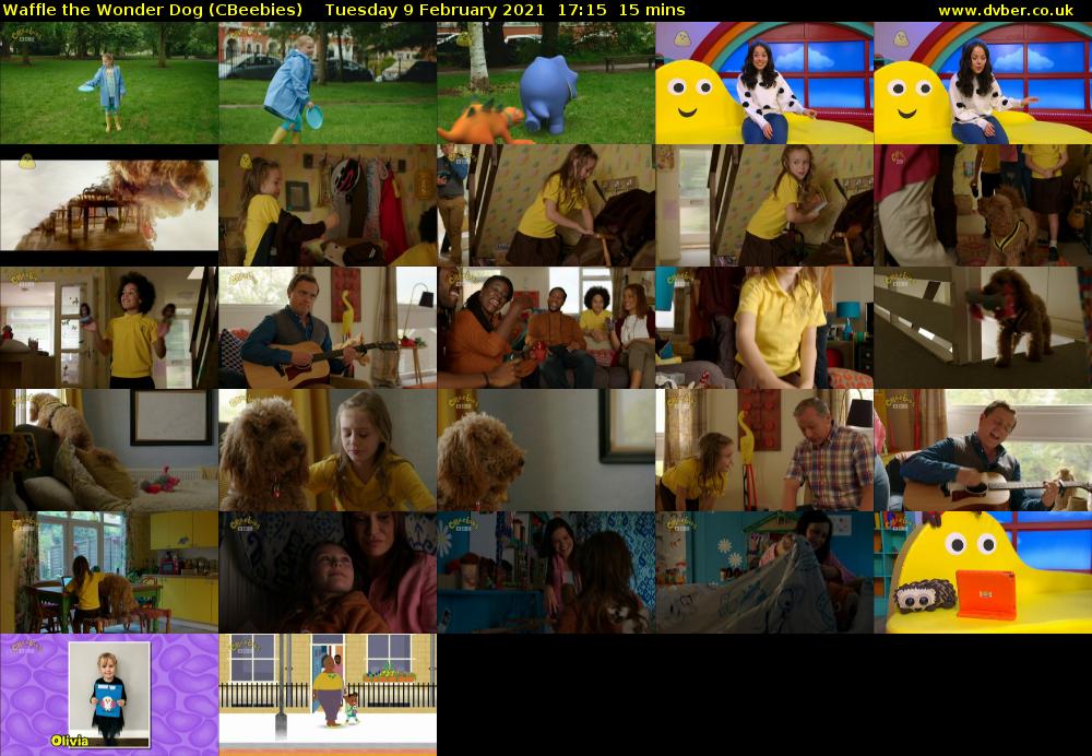 Waffle the Wonder Dog (CBeebies) Tuesday 9 February 2021 17:15 - 17:30