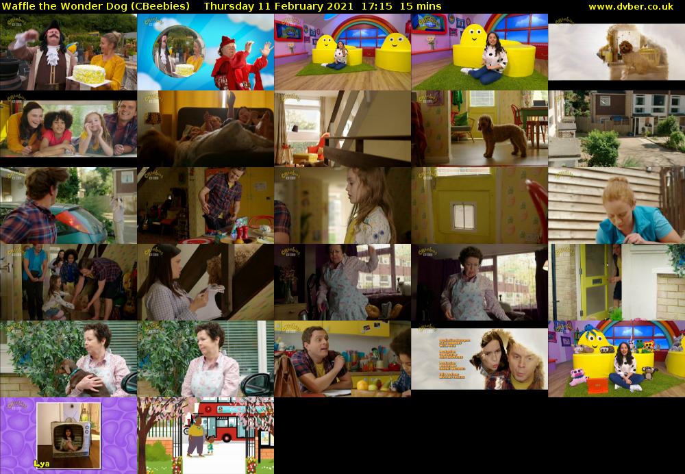 Waffle the Wonder Dog (CBeebies) Thursday 11 February 2021 17:15 - 17:30