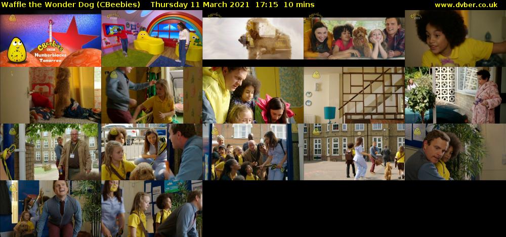 Waffle the Wonder Dog (CBeebies) Thursday 11 March 2021 17:15 - 17:25