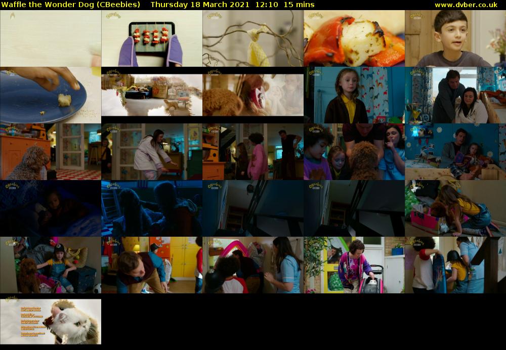 Waffle the Wonder Dog (CBeebies) Thursday 18 March 2021 12:10 - 12:25