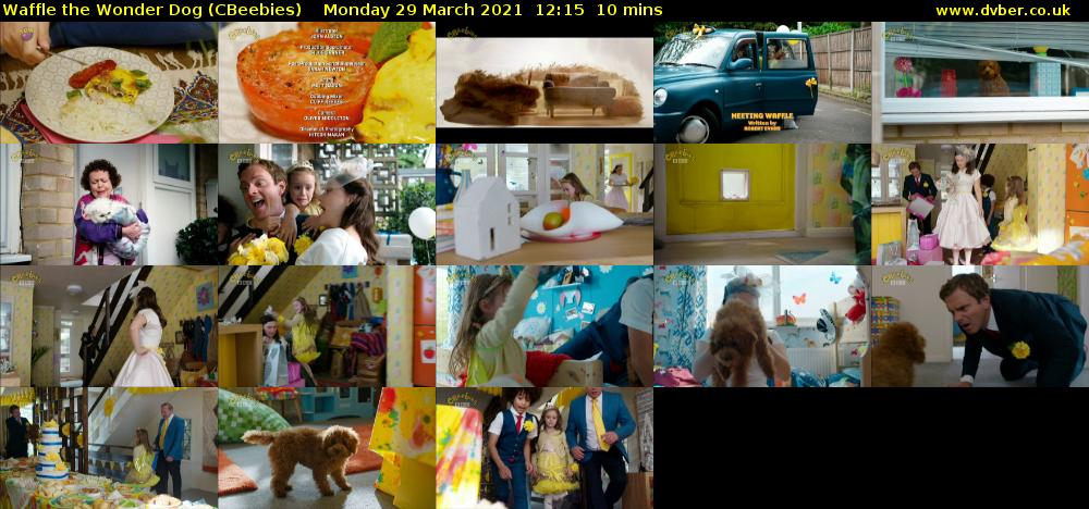 Waffle the Wonder Dog (CBeebies) Monday 29 March 2021 12:15 - 12:25