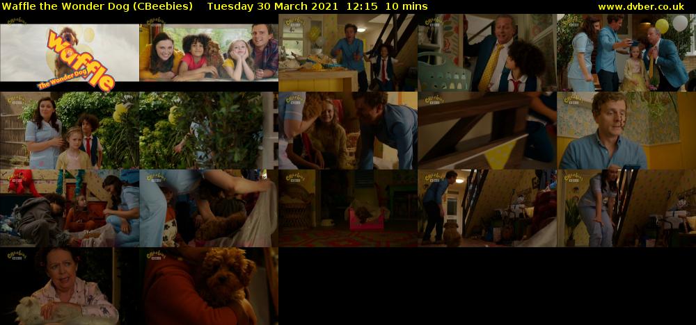 Waffle the Wonder Dog (CBeebies) Tuesday 30 March 2021 12:15 - 12:25