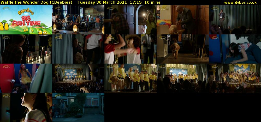 Waffle the Wonder Dog (CBeebies) Tuesday 30 March 2021 17:15 - 17:25