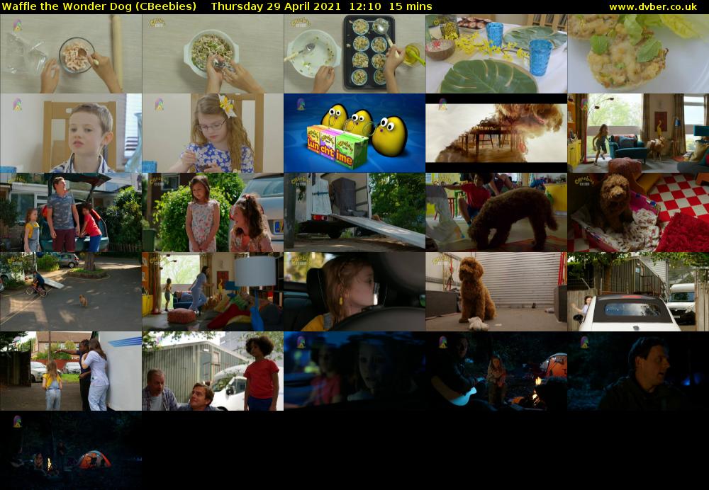 Waffle the Wonder Dog (CBeebies) Thursday 29 April 2021 12:10 - 12:25