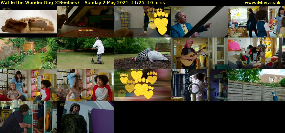 Waffle the Wonder Dog (CBeebies) - 2021-05-02-1125
