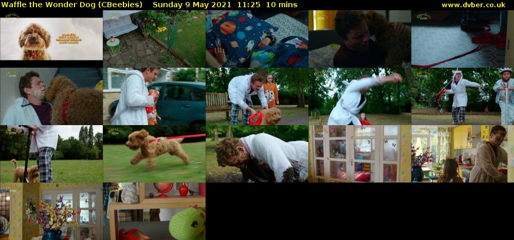Waffle the Wonder Dog (CBeebies) Sunday 9 May 2021 11:25 - 11:35